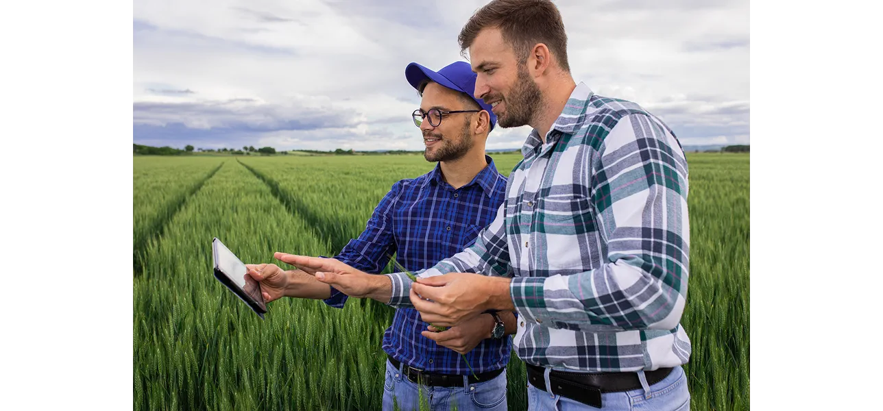 Agrivice Ltd Case Study