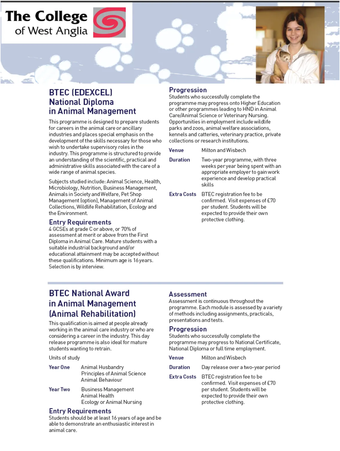 PDFs automatically generated from the same data entered into the website