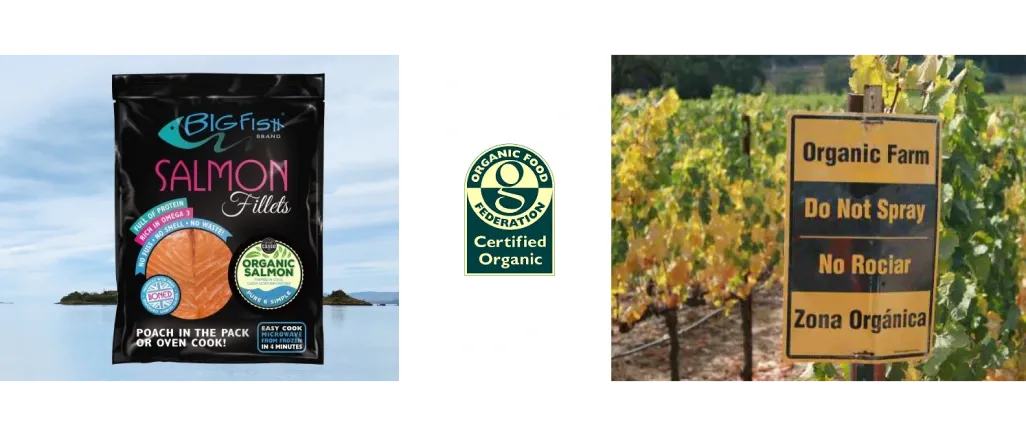 Organic Food Case Study